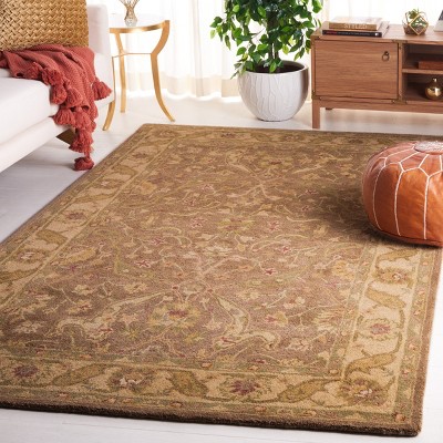 Antiquity Brown and Gold Tufted Wool Area Rug