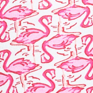 pink flamingo geo