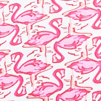 pink flamingo geo
