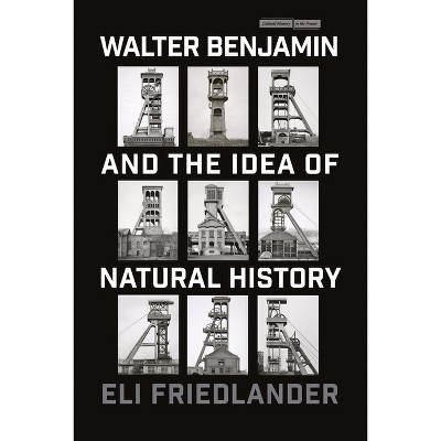 Walter Benjamin and the Idea of Natural History - (Cultural Memory in the Present) by  Eli Friedlander (Paperback)