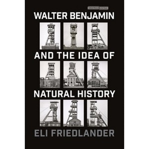 Walter Benjamin and the Idea of Natural History - (Cultural Memory in the Present) by  Eli Friedlander (Paperback) - 1 of 1