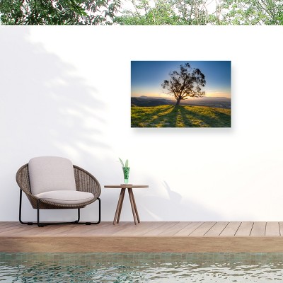 "Tree Shadows" Outdoor Canvas