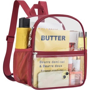 Hachikiko Small Transparent Mini Backpack for Concert, Beach, Work, Travel & Sporting Events with Padded Straps - 1 of 4