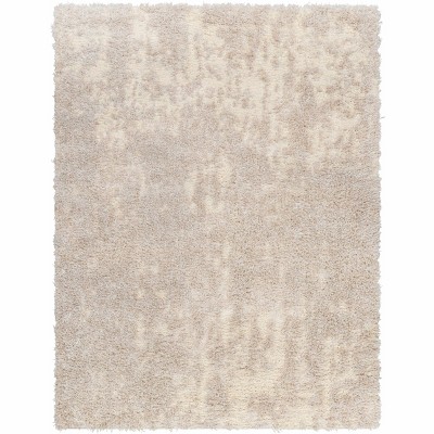 Hauteloom Edzia Beige Plush Area Rug
