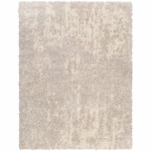 Hauteloom Edzia Beige Plush Area Rug - 1 of 4