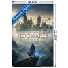 Trends International Hogwarts Legacy - Key Art Unframed Wall Poster Prints - 3 of 4