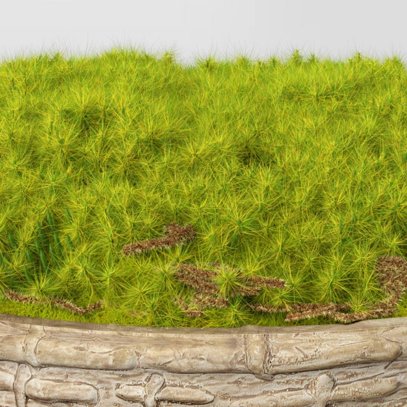 3.5&#34; Artificial Moss in Textured Pot Green - Threshold&#8482; designed with Studio McGee, 4 of 8