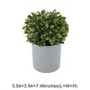 Unique Bargains Artificial Plants Plastic Green 3.54"x3.54"x5.91" 1 Pcs - 3 of 4