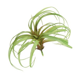 Unique Bargains Outdoor Floral Decoration Artificial Plants Fake Tillandsia 8" - 1 of 4