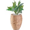 Vintiquewise Round Floor Planter with Metal Pot - 2 of 4