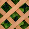 Gulches Wooden Raised Garden Bed with Trellis - 46" Planter Box for Vegetables, Herbs & Flowers - 3 of 4