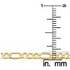 Pompeii3 10k Yellow Gold 3.5-millimeter Figaro Bracelet - 4 of 4