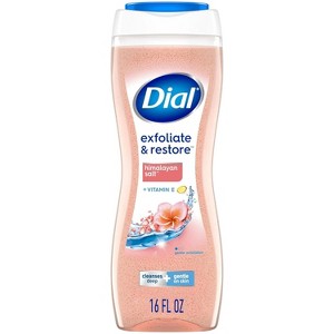 Dial - Himalayan Salt Enrich Body Wash, 16 Oz - 1 of 4