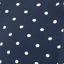 navy dot