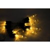 Perfect Holiday 10 LED Outdoor String Lights-Warm White - 3 of 4