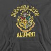 Harry Potter Hogwarts Alumni Crest Adult Pull-Over Hoodie - 2 of 4