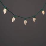 25ct LED C9 Faceted String Lights Warm White with Green Wire - Wondershop™