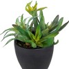Northlight 11" Mixed Succulent Plant Artificial Potted Arrangement - Green/Black - 4 of 4