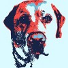 Men's Design By Humans Patriotic Labrador By Rmbuckeye T-Shirt - 2 of 3