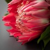 Sullivans Artificial 24.5" Pink Protea Spray - 2 of 2
