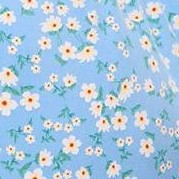 sky blue flowers