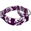 Country Brook Petz 1 1/2 Inch Martingale Dog Collar - Summer Breeze Collection - 3 of 4