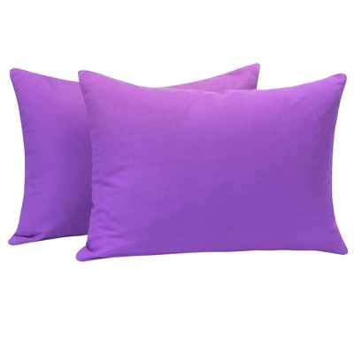 2 Pack Brushed Microfiber Zippered Toddler Pillowcases, Super Soft and Cozy Travel Pillow Cases - NTBAY