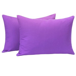 2 Pack Brushed Microfiber Zippered Toddler Pillowcases, Super Soft and Cozy Travel Pillow Cases - NTBAY - 1 of 4