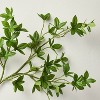 25" Faux Black Olive Leaf Branch - Hearth & Hand™ with Magnolia - 3 of 3