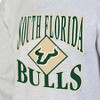 NCAA South Florida Bulls Men's Crew Neck Fleece Ash Sweatshirt - 3 of 3