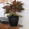 The HC Companies Sevilla Round Self-Watering Pot, Plastic Classic Planter with Internal Disk for Indoor and Outdoor Plants, 12 Inch, Black - 2 of 2