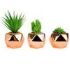 Set of 3 Small Artificial Succulent Plant Mini Fake Faux Succulents Realistic Cactus Cacti Plants in Rose Gold Geometric Pots - 4 of 4