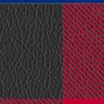 texas rangers