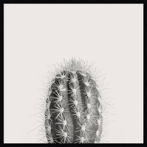 Prime, Marcus 19x24 White Modern Wood Framed Museum Art Print Titled -  Cactus Makes Perfect 