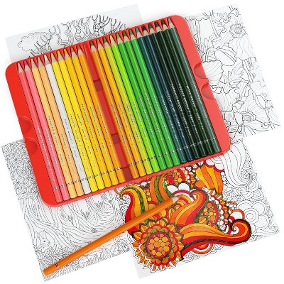 Download Adult Coloring Book Set Target