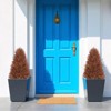poetree 2 Pack 2.5ft Artificial Cedar Topiary Tree in Pot Fall decor Fake Plants Indoor/Outdoor for Decor - 2 of 4