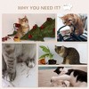 Multipet 4 Pcs Cat Wall Furniture Cat Climbing Shelf with Cat Hammock, 3 Steps, Perches, Scratching Post - 4 of 4