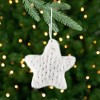 Northlight Faux Fur Plush Star Christmas Ornaments - 4.75" - White - Set of 4 - 2 of 4