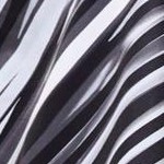 black abstract stripe