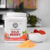 Harvest Goji Berry Powder, Unflavored, Sunwarrior, 250gm - 3 of 4