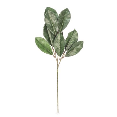 Floral Home 34" Green Magnolia Leaf Spray - 24-Piece