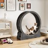 Large Silent Cat Treadmill with Dual-Color Track, Cat Home Exercise Wheel, Suitable for Pet Health and Entertainment - 3 of 4