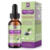B Beworth Sea Moss Liquid Drops with Soursop Bitters - Multimineral Seamoss Supplement Support Antioxidant, Immune, Gut Health - 2 Fl.oz - 3 of 4