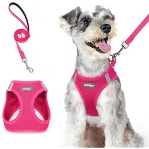 rabbitgoo Dog Harness Small Medium Sized and Leash Set, Step in Soft Light Puppy Pet Harness, Reflective for Safe Easy Walking, Rosa Red XL - 1 of 1