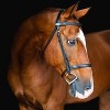 Breyer Animal Creations Breyer Traditional 1:9 Scale Model Horse | Adamek - 2 of 2