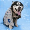 Pavilion Gift Company - Lake Dog - 39" x 19.5" Microfiber Dog Towel - Kitchen Textiles - 2 of 4