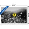 Trends International Joseph S Giacalone - A Bit Of Yellow Framed Wall Poster Prints - 3 of 4