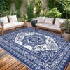 Outdoor Rug Medallion Plastic Straw Camping Carpet, Reversible Floor Mat, UV-Resistant Indoor Outdoor Area Rug for Backyard, Deck, Picnic, Porch - 3 of 4