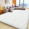 White Shaggy Area Rug, Super Soft Fluffy Non-Slip Carpet for Living Room with 4 Reusable Stickers - 2 of 4