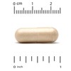 California Gold Nutrition Reishi (Ganoderma lucidum), Full Spectrum, Certified Organic, 600 mg , 90 Veggie Capsules - 3 of 3